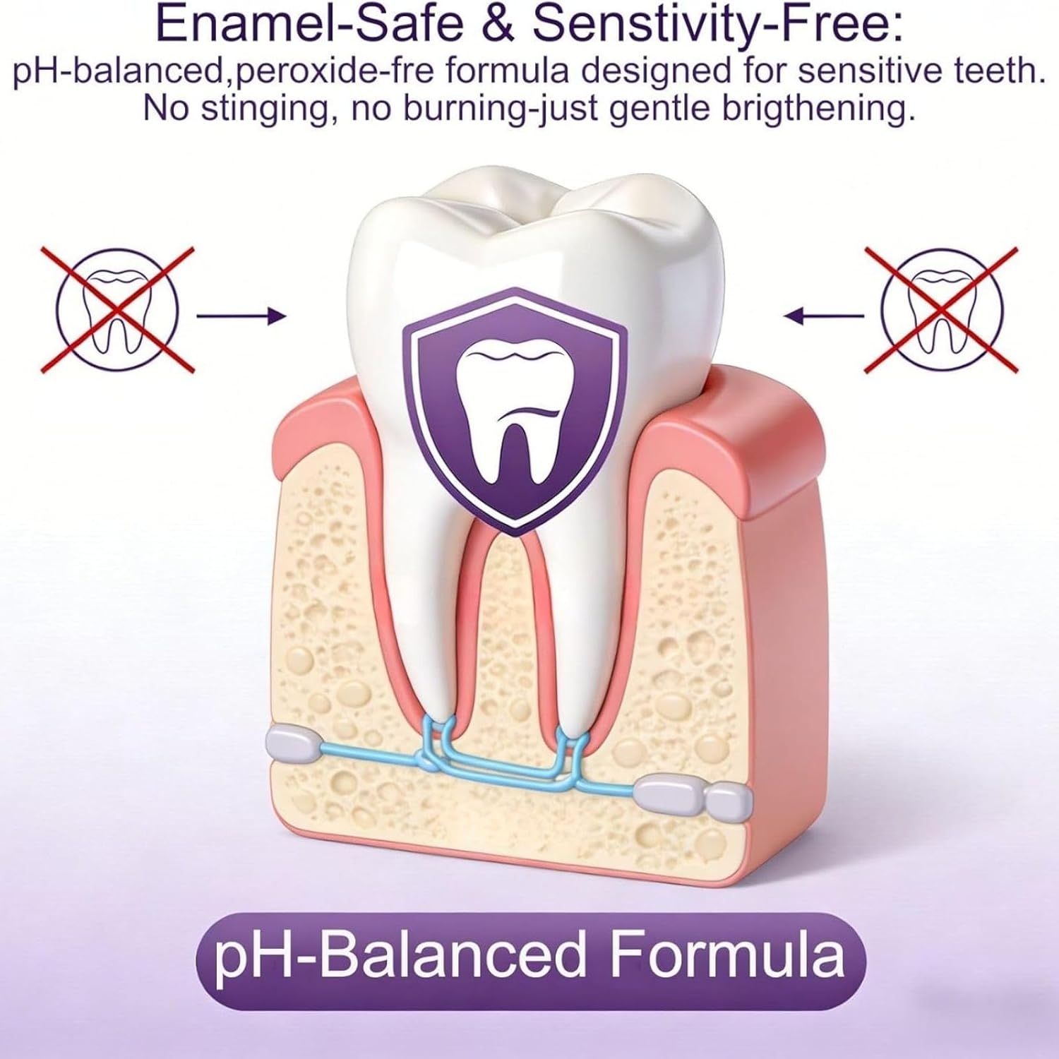 Purple Teeth Whitening Combo K - đánh giá và giá Teeth Whitening In Office