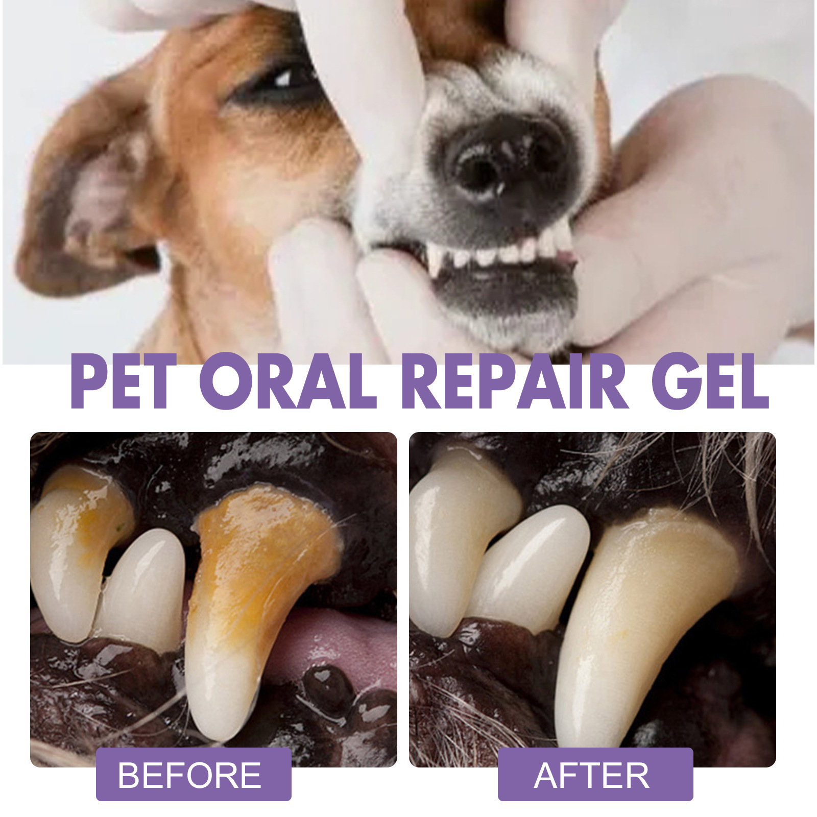 Pet Oral Repair Gel Puppy Tart - đánh giá và giá Teeth Whitening Hismile